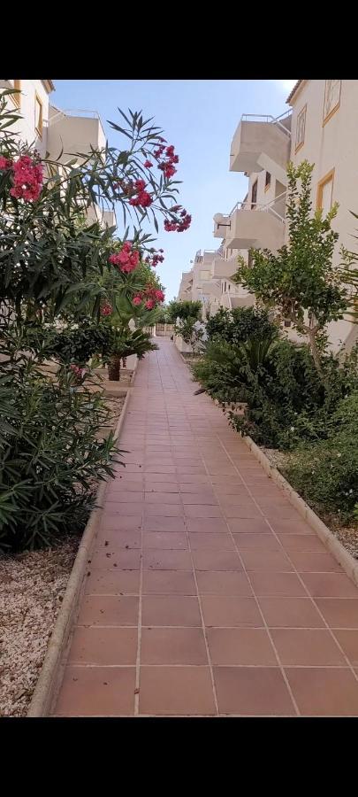 Apartamento Bajo Con Terraza Y Piscina 또레비에하 외부 사진