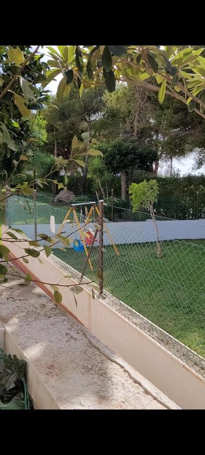 Apartamento Bajo Con Terraza Y Piscina 또레비에하 외부 사진