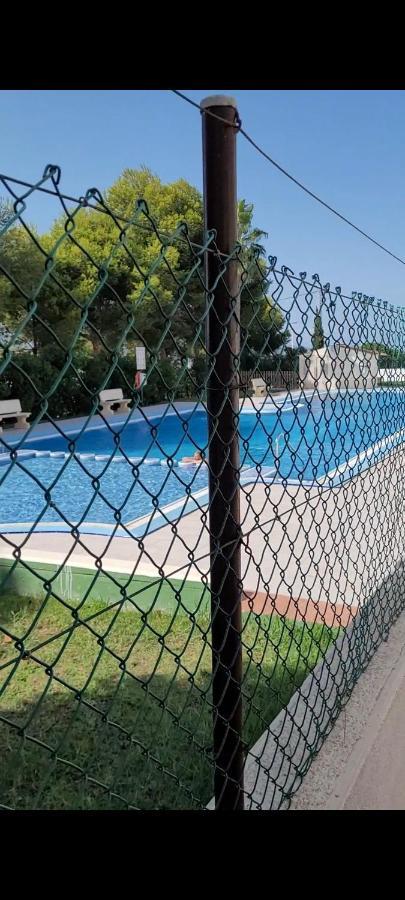 Apartamento Bajo Con Terraza Y Piscina 또레비에하 외부 사진