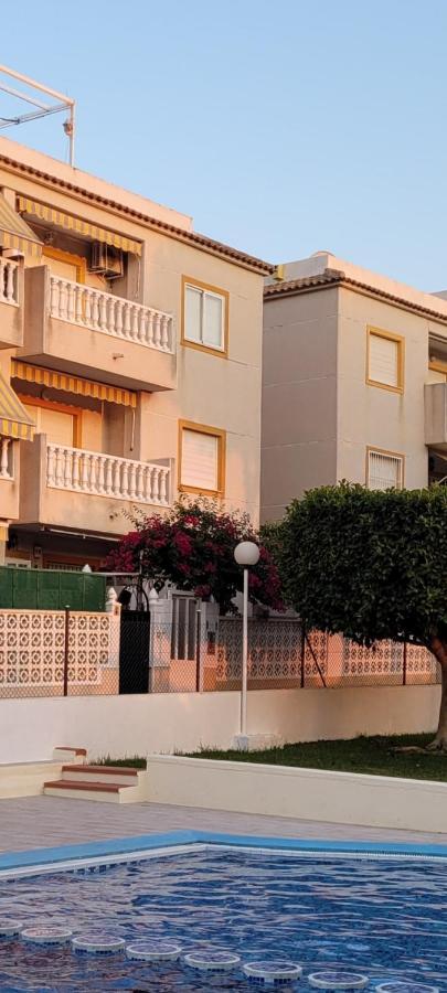 Apartamento Bajo Con Terraza Y Piscina 또레비에하 외부 사진